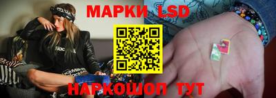 прущие грибы Кандалакша