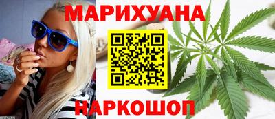 прущие грибы Кандалакша