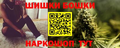 прущие грибы Кандалакша