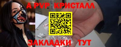 прущие грибы Кандалакша