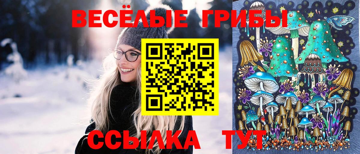 Чехов  Галлюциногенные грибы Psilocybine cubensis  где продают   Галлюциногенные грибы Psilocybine cubensis  Вход с VPN 